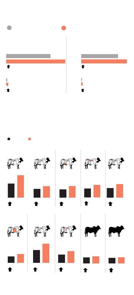 Crescimento da demanda de exportação e entressafra na pecuária tendem a pressionar valor dos cortes bovinos até o fim do ano