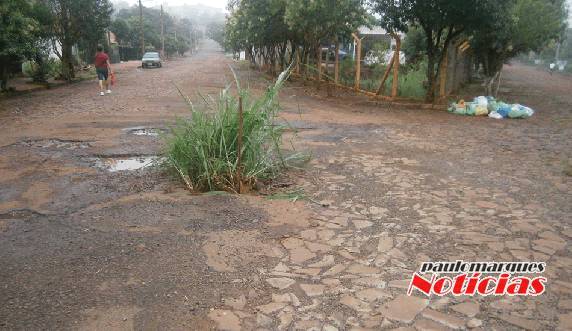 Plantação de capim elefante simboliza indignação de moradores do bairro Oriental - foto 3