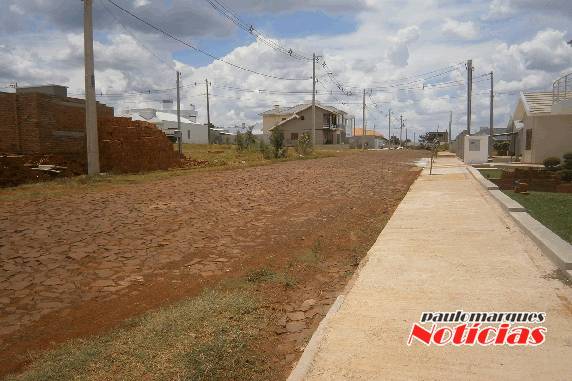 Moradores reclamam de proliferação de moscas
varegentas em loteamento de Três de Maio - foto 2