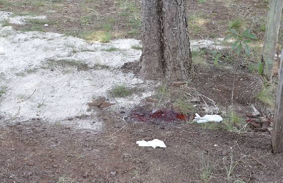 Uma mulher de 46 anos  foi assassinada em Ijuí