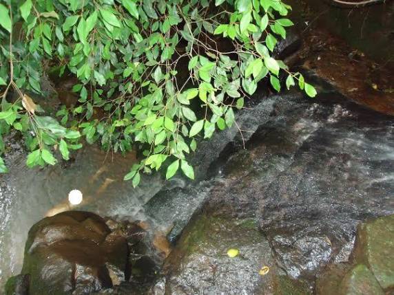 Mulher é encontrada morta em
cachoeira a 2 km de casa, em Erval Grande - foto 3