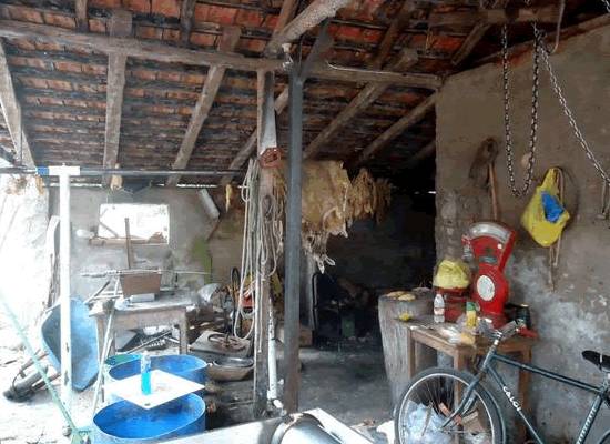 Operação flagra venda de produtos impróprios ao consumo humano em Restinga
Seca - foto 2