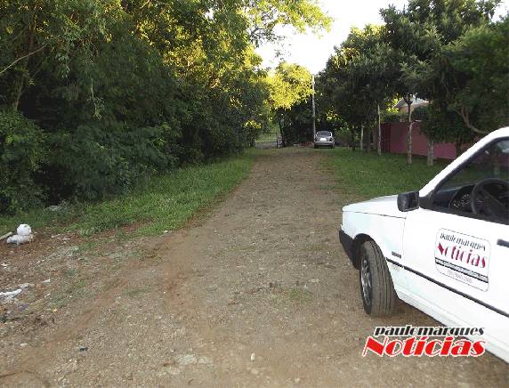 Animais mortos são jogados na rua no bairro Oriental. Moradores estão indignados - foto 3