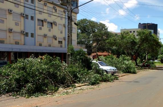 Corte de 40 árvores leva crianças, jovens e adultos as lágrimas, em Santo Ângelo - foto 3
