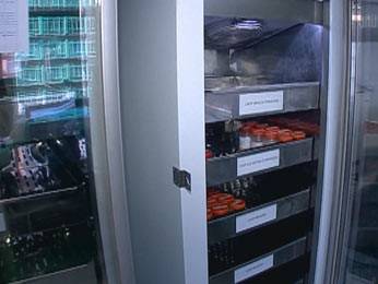 Um litro de leite materno pode alimentar até 10 bebês, dizem 

especialistas