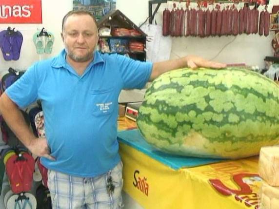 Fruta com tamanho acima do normal chama atenção de clientes do local