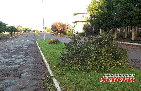 Motorista perde o
controle de automóvel e provoca acidente na Av. Santa Rosa - foto 2