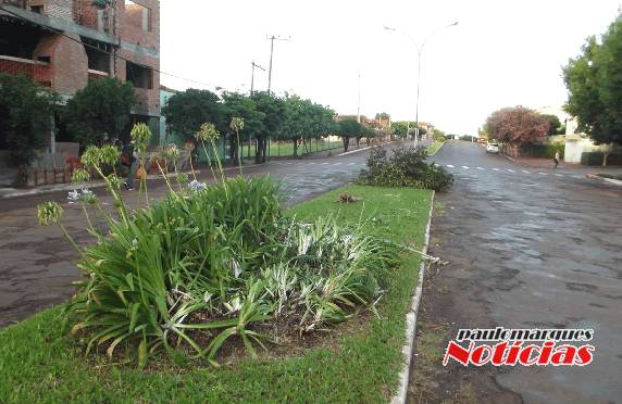 Motorista perde o
controle de automóvel e provoca acidente na Av. Santa Rosa - foto 3