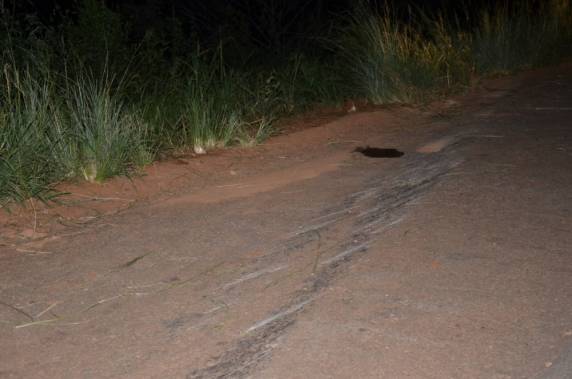 Pai e filho
morrem em acidente em Tio Hugo, no norte do Estado - foto 3