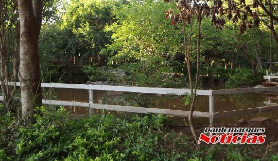 Indivíduos
são flagrados pela BM consumindo maconha na área do lago do bairro Oriental - foto 2