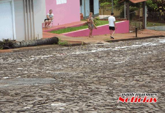 Vento derruba árvore
de grande porte em Três de Maio - foto 3