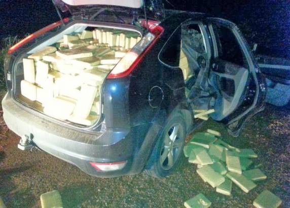 Polícia realiza maior apreensão de maconha dos últimos meses - foto 3