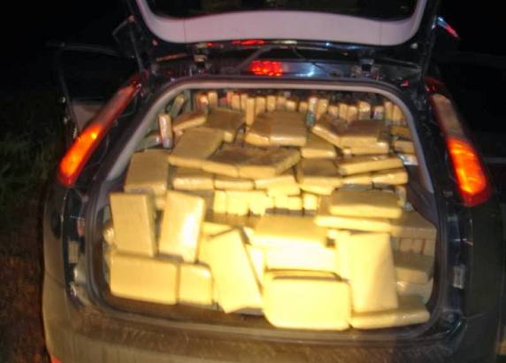 Polícia realiza maior apreensão de maconha dos últimos meses - foto 2
