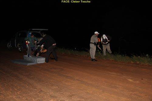Indígena é encontrado morto com sinais de
atropelamento em rodovia da região - foto 3