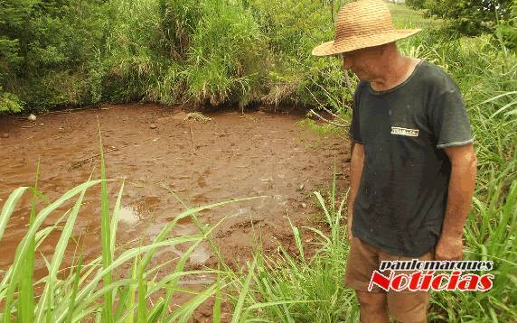 Aproximadamente 500kg de peixes foram levados pelos ladrões
