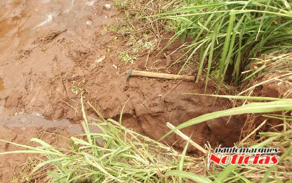 Ladrões secam açude para furtar os peixes no interior de
Três de Maio - foto 3