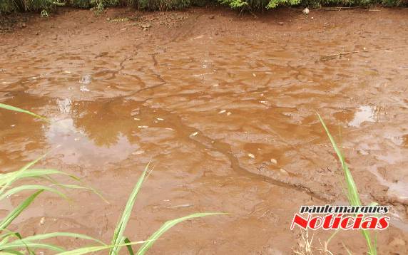 Ladrões secam açude para furtar os peixes no interior de
Três de Maio - foto 2