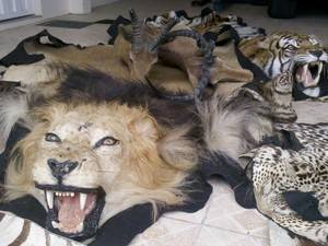 Advogado do RS investigado por golpe enriqueceu rápido, diz polícia - foto 2