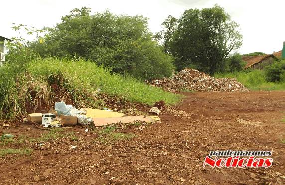 Vereador denúncia descaso com o mato no parque de máquinas da municipalidade - foto 3