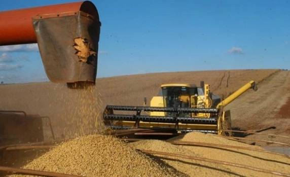 Números foram divulgados durante a feira Expodireto, em Não-Me-Toque
