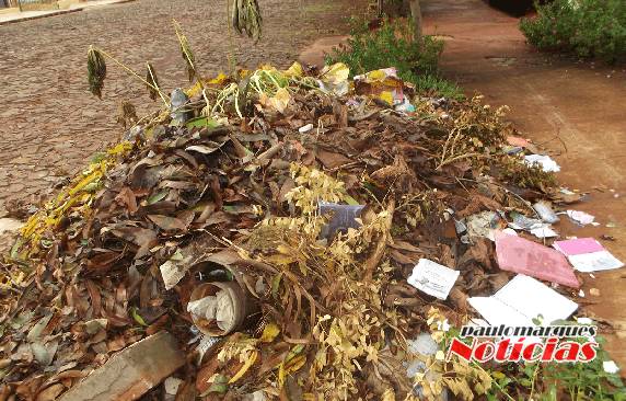 Comunidade do bairro jardim das Acácias pedem providências com lixão da praça - foto 3