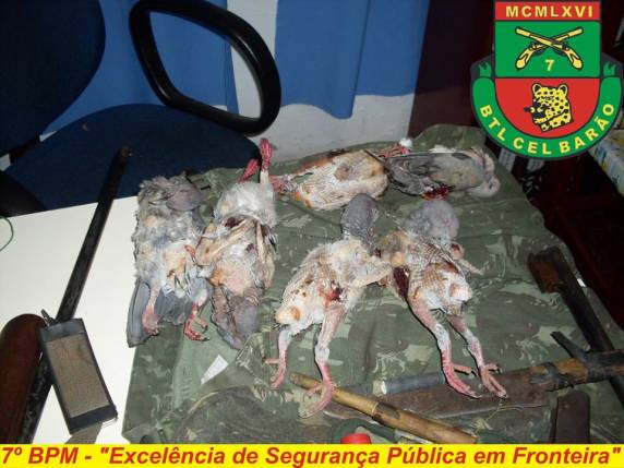 Prisão por porte ilegal de arma em Tiradentes do Sul - foto 3