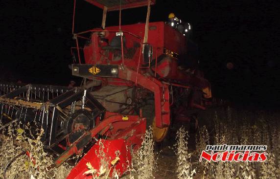 Ação rápida dos bombeiros contiveram as chamas. 

Era grande o desânimo dos agricultores