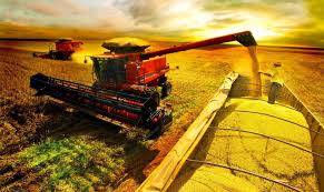 O dinheiro que sairá das lavouras passará de mão em mão e se multiplicará no 

comércio, serviços e na indústria local