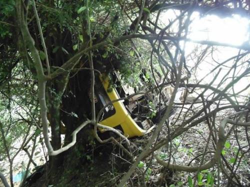 Carreta de Boa Vista do Buricá tombou na curva da morte em Caçapava do Sul - foto 3