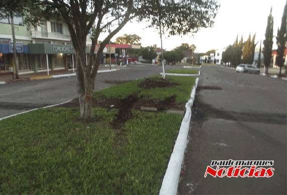 Veículo desgovernado bate em árvore e em luminária no centro de Três de Maio - foto 2