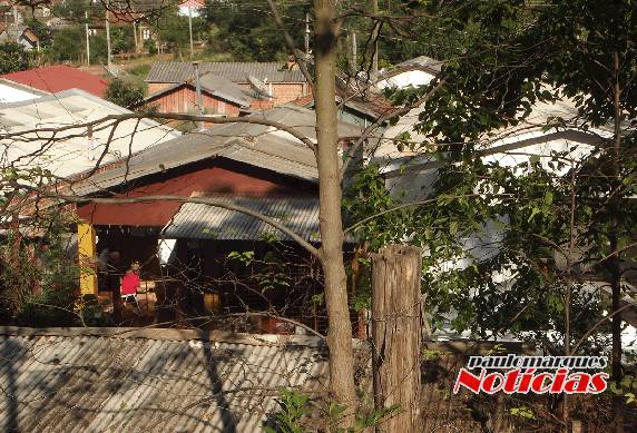 Vila Pedreirinha de Três de Maio agora é bairro
Carolina - foto 2