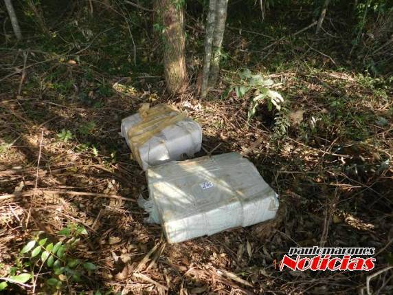 Polícia Civil de Três de Maio faz apreensão de mais de 54kg de maconha - foto 3