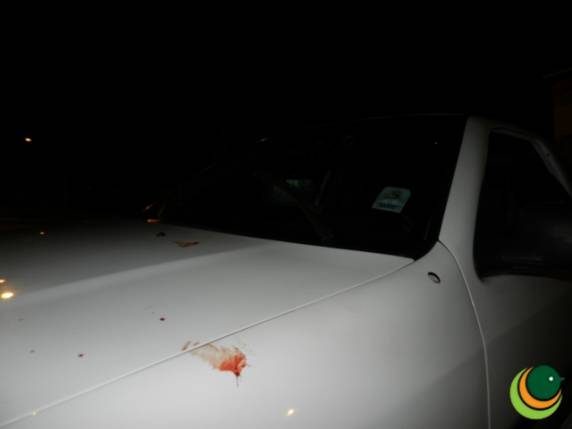 Homem é executado pelo irmão em Passo Fundo - foto 3