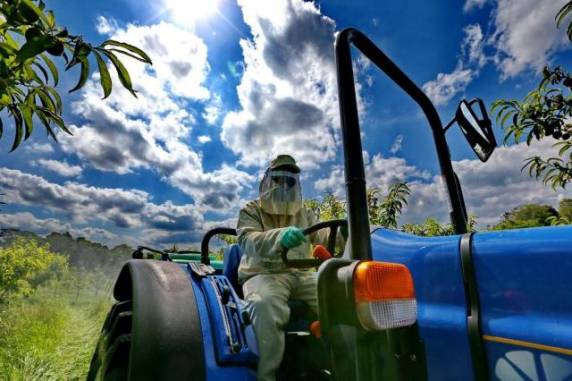 Decisão faz legislação gaúcha que proíbe a venda no Estado de químicos vetados em 

seus países de origem perder força