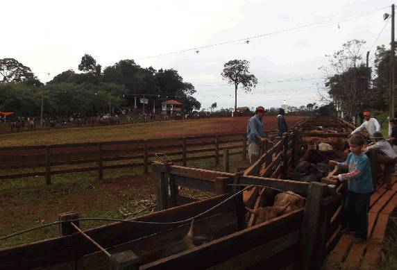 17ª Festa Campeira está sendo realizada na 3ª EXPOTERNEIRA - foto 3