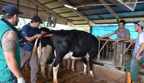 A atividade foi desenvolvida em componente curricular do professor Marcelo Rigo, coordenador da área de Pecuária da SETREM