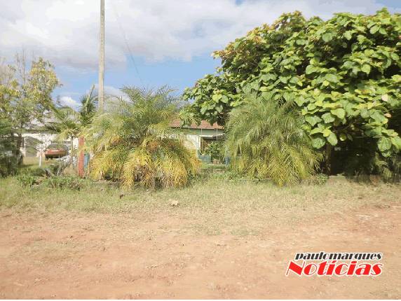 Projeto Agrofel Comunidade - foto 2