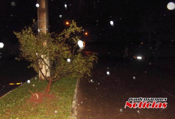 Motorista com sinais de
embriaguez bate em árvore na Av. Santa Rosa em Três de Maio - foto 3