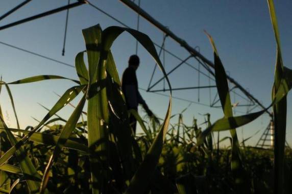 Depois de mudanças no programa Mais Água, Mais Renda, somente 

25% das propostas encaminhadas à Secretaria de Agricultura receberam aval para instalação