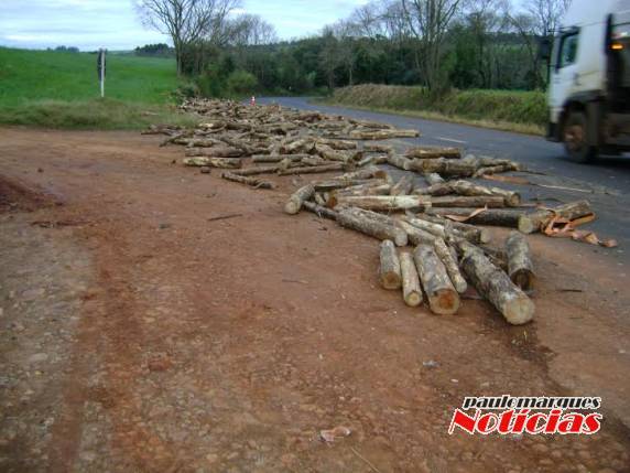 Caminhão carregado com lenha derruba parte da carga na ERS 307 em Santa Rosa - foto 3