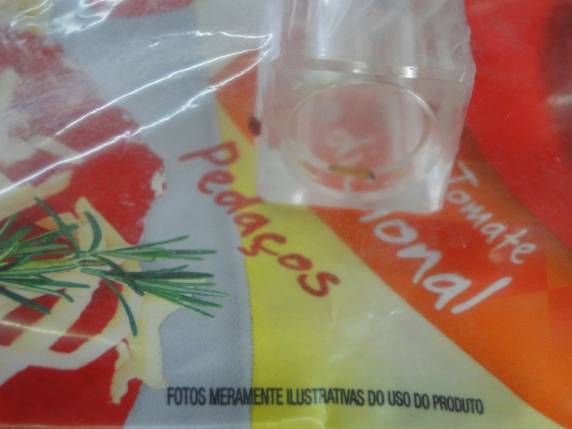 Consumidor encontra larva morta e fezes em sachê de molho de 

tomate, em Santiago - foto 3