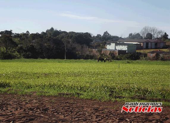 Cavalos
soltos incomodam moradores de bairro de Três de Maio - foto 3