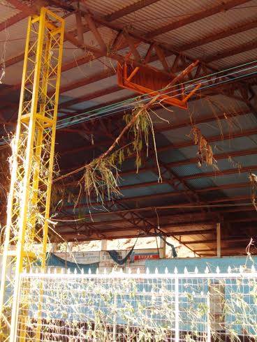 Curiosidades pós enchente em Porto Mauá - foto 3