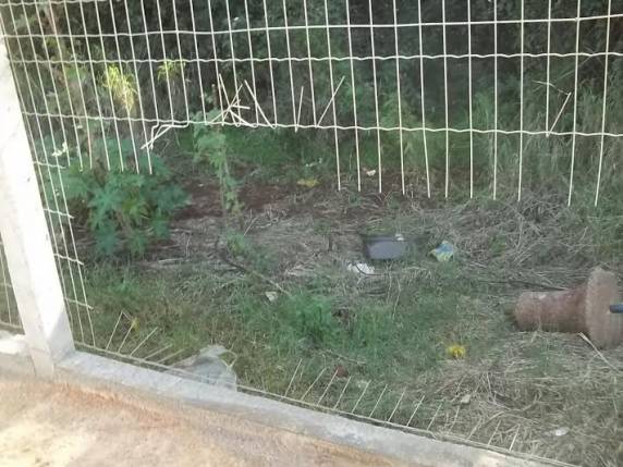 Bens públicos estão sendo depredados - foto 2