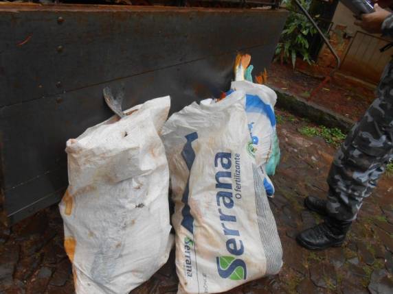 BM apreende carga de peixes na BR 285 - foto 3