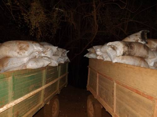 BM de Crissiumal registrou a segunda apreensão de soja argentina em menos de 10 dias - foto 3
