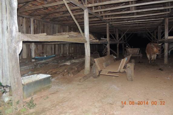Brigada Militar apreende cigarros contrabandeados - foto 3