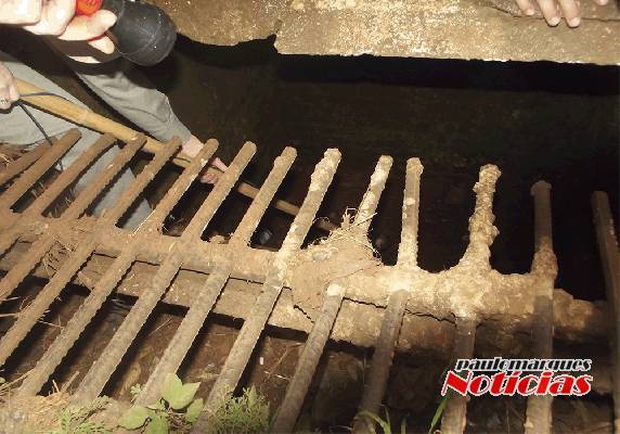 Bombeiros são chamados para resgatar uma cachorrinha que teria sido jogada em uma boca de lobo - foto 2