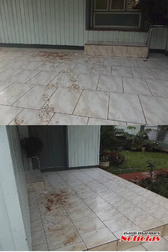 Ladrão tenta invadir casa de idosa durante a madrugada, em Três de Maio - foto 3