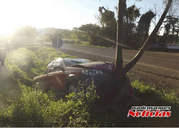 Motorista fica gravemente ferido em saída de pista na ERS-342 em Três de Maio - foto 3